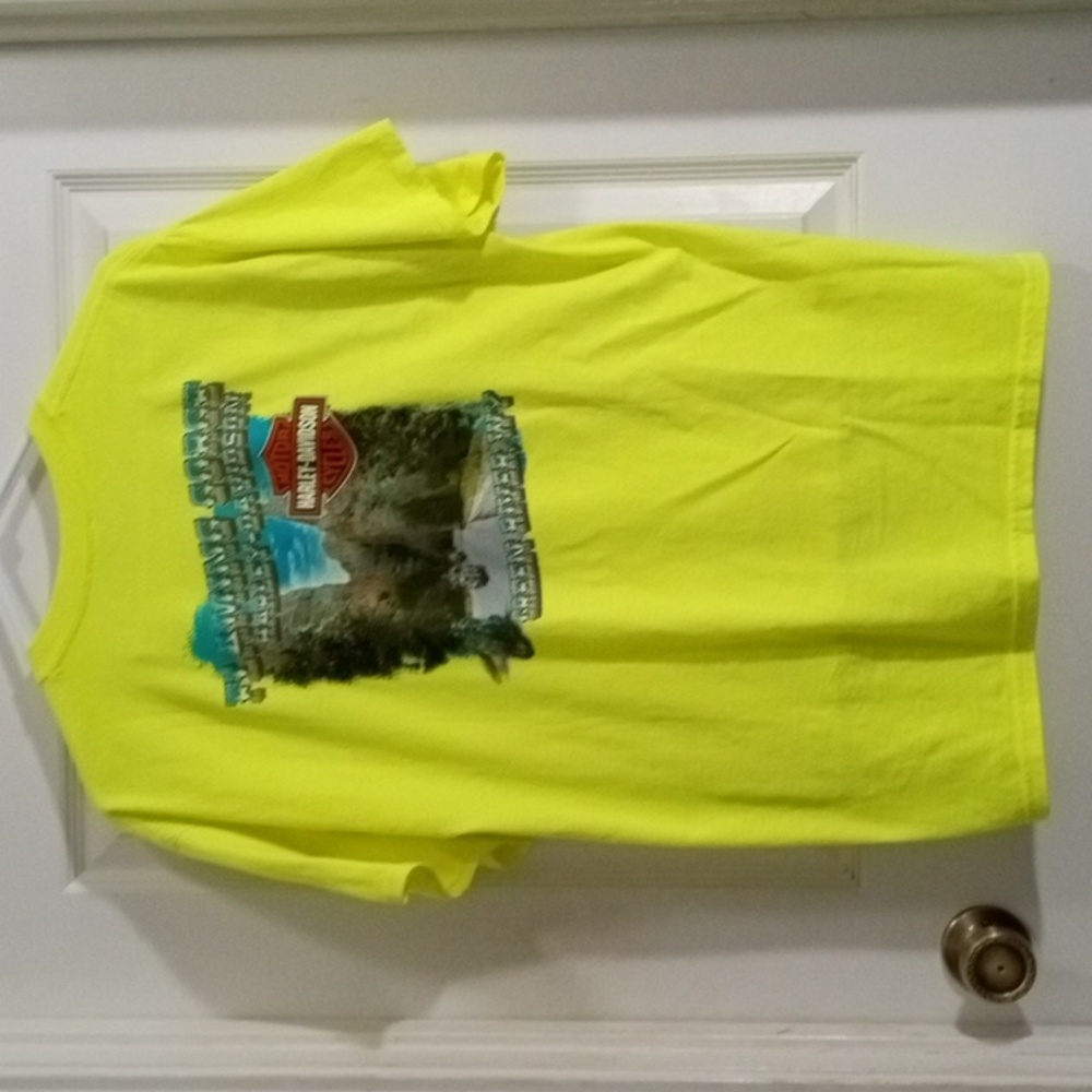 Harley-Davidson Safety Green Short Sleeve Tee Men’s Large - Picture 4 of 6